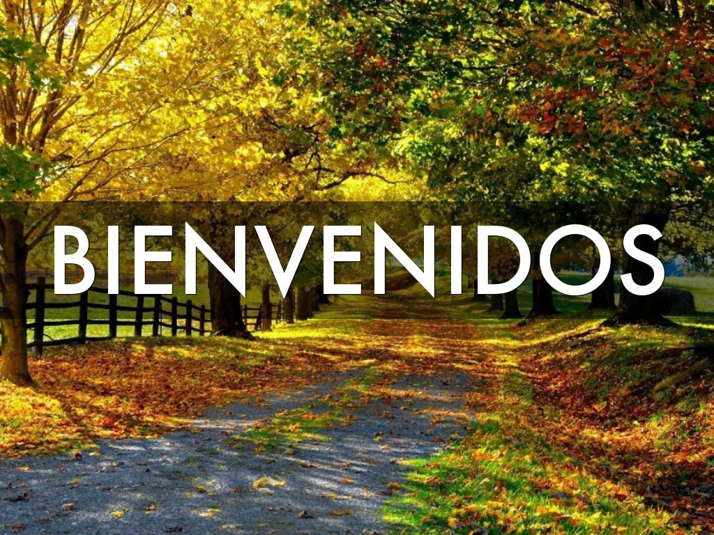 Bienvenido-Celula