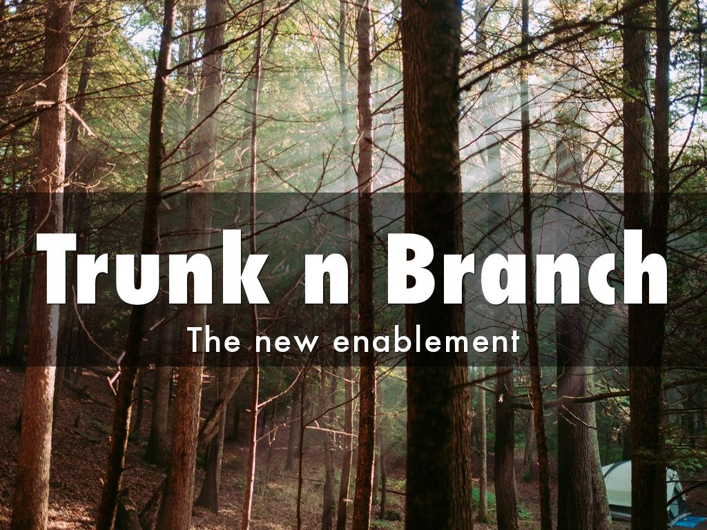 Trunk n Branch