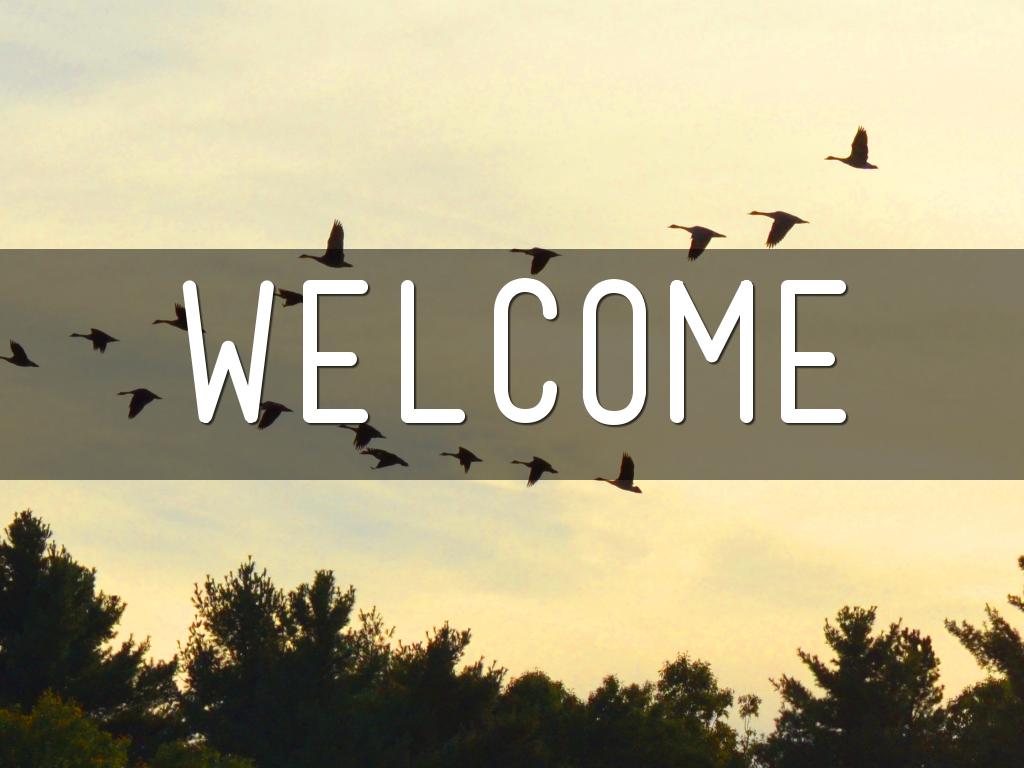 Welcome