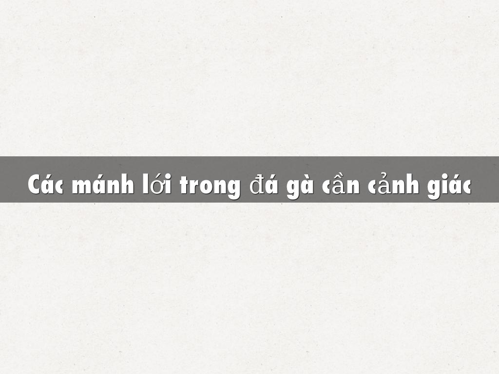 Các mánh lới trong đá gà cần cảnh giác