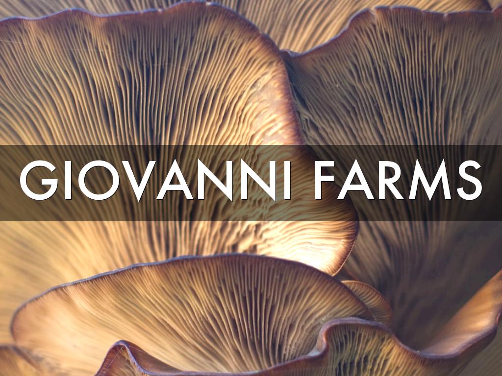 Giovanni Farms
