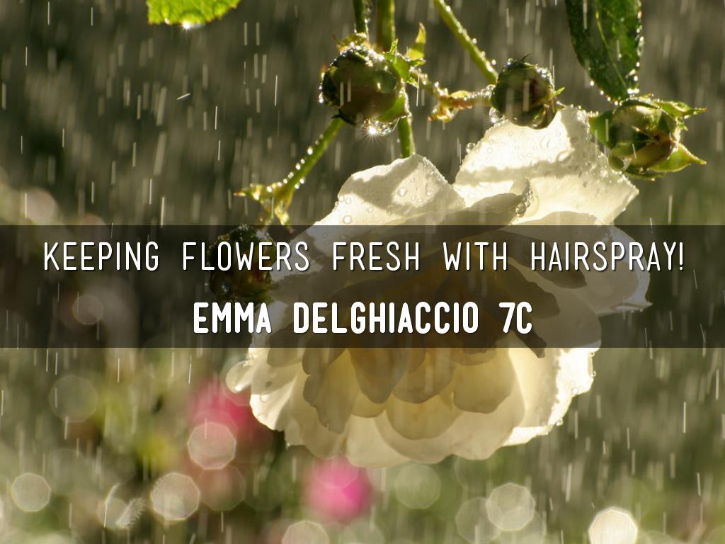 Flower Science Experiment 