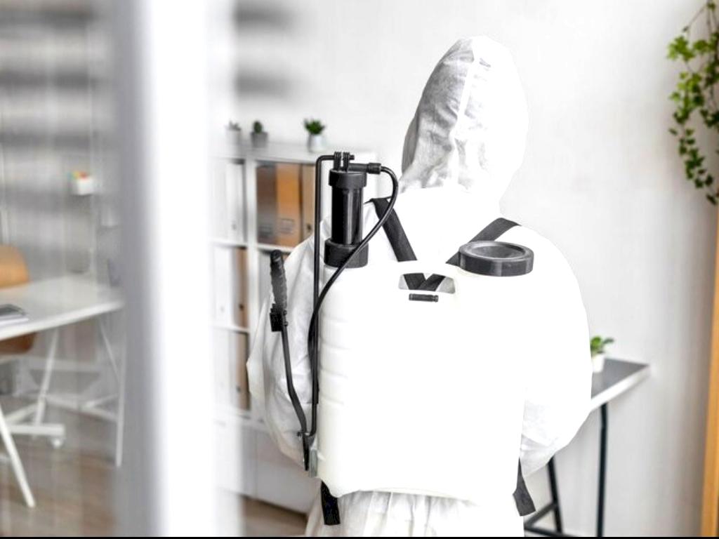 How To Keep Your Home Free From Pests?