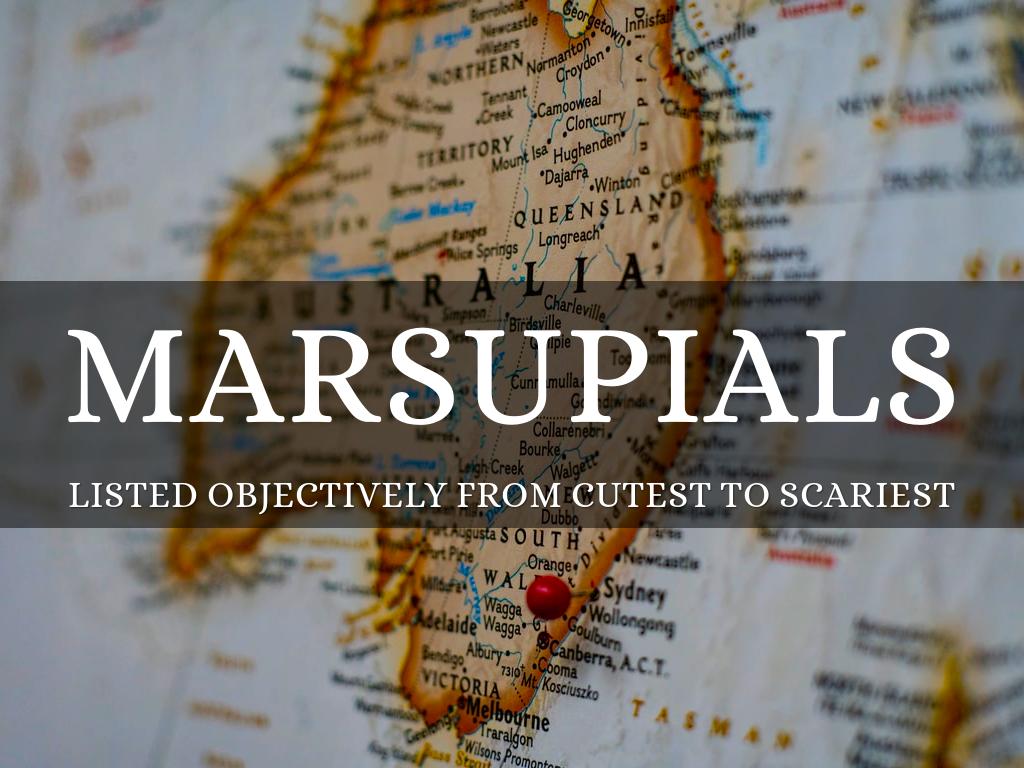 Marsupials