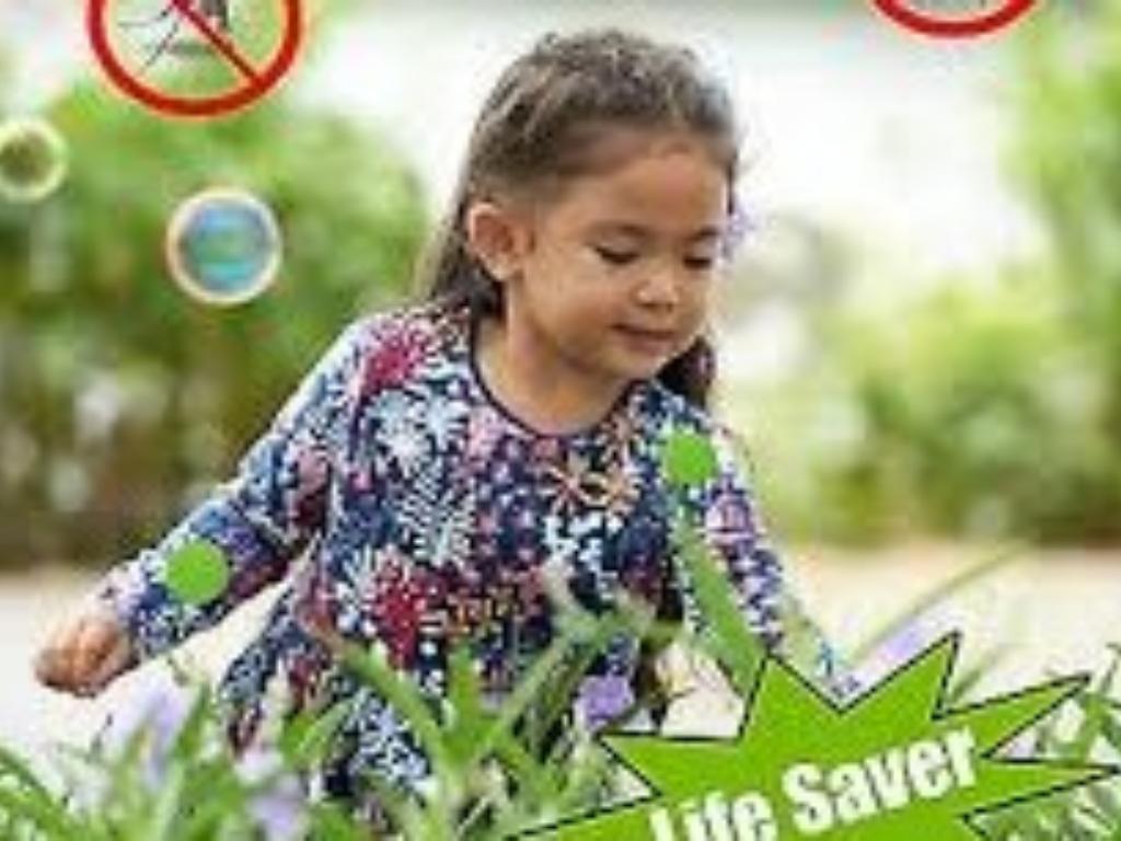 Toilet cleaning strips