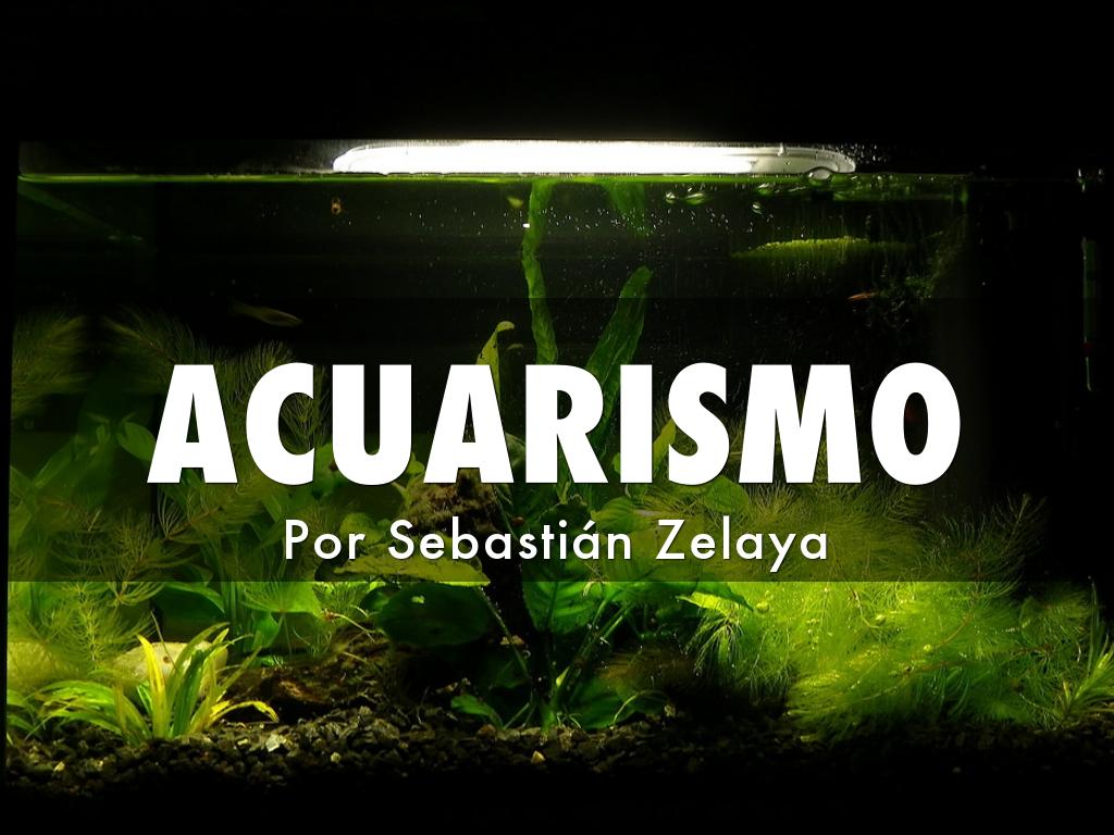 ACUARISMO
