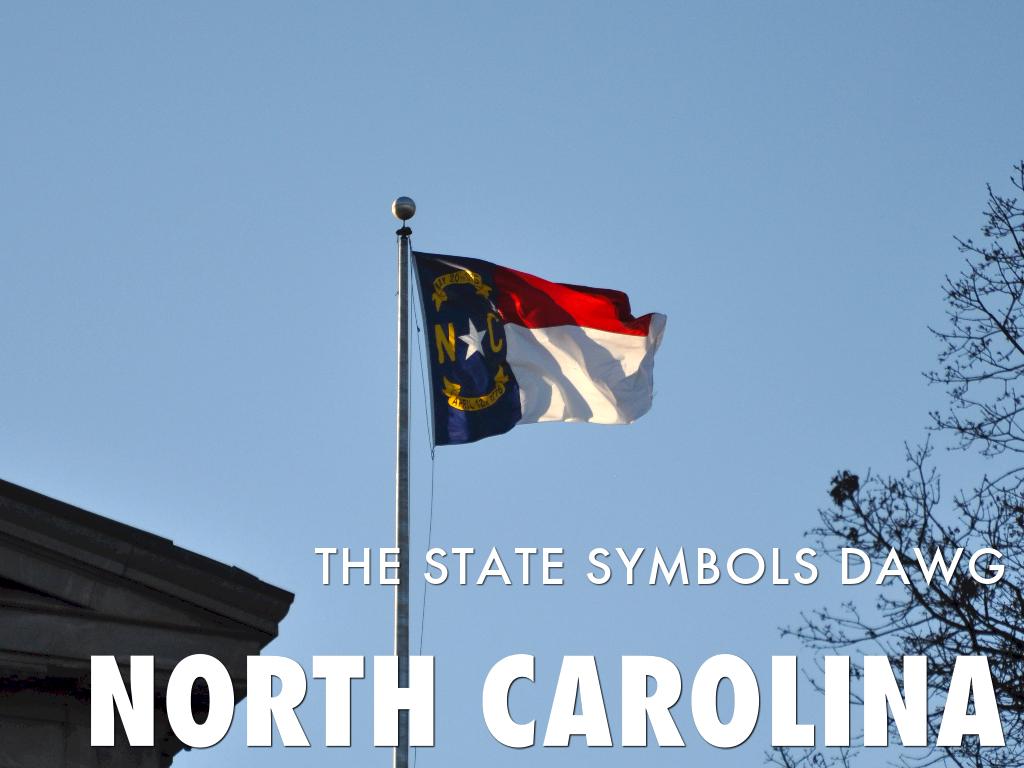North Carolina State Symbols 