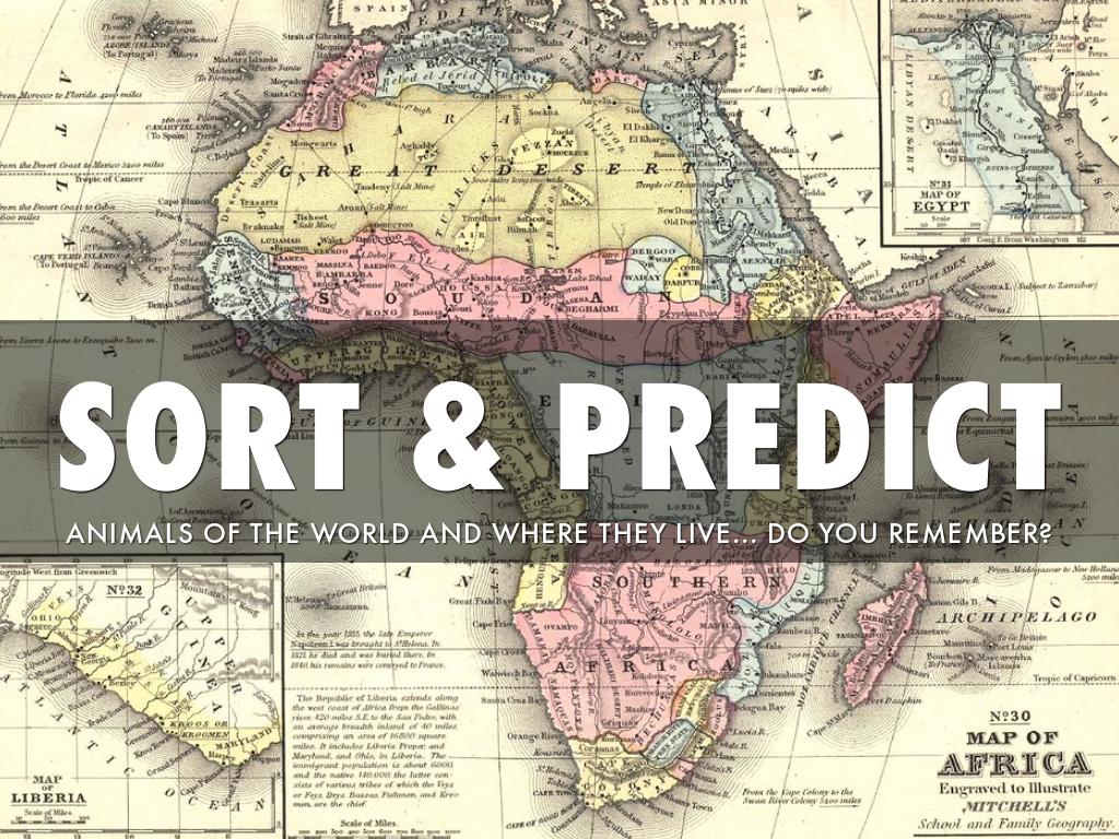 Animals of the World