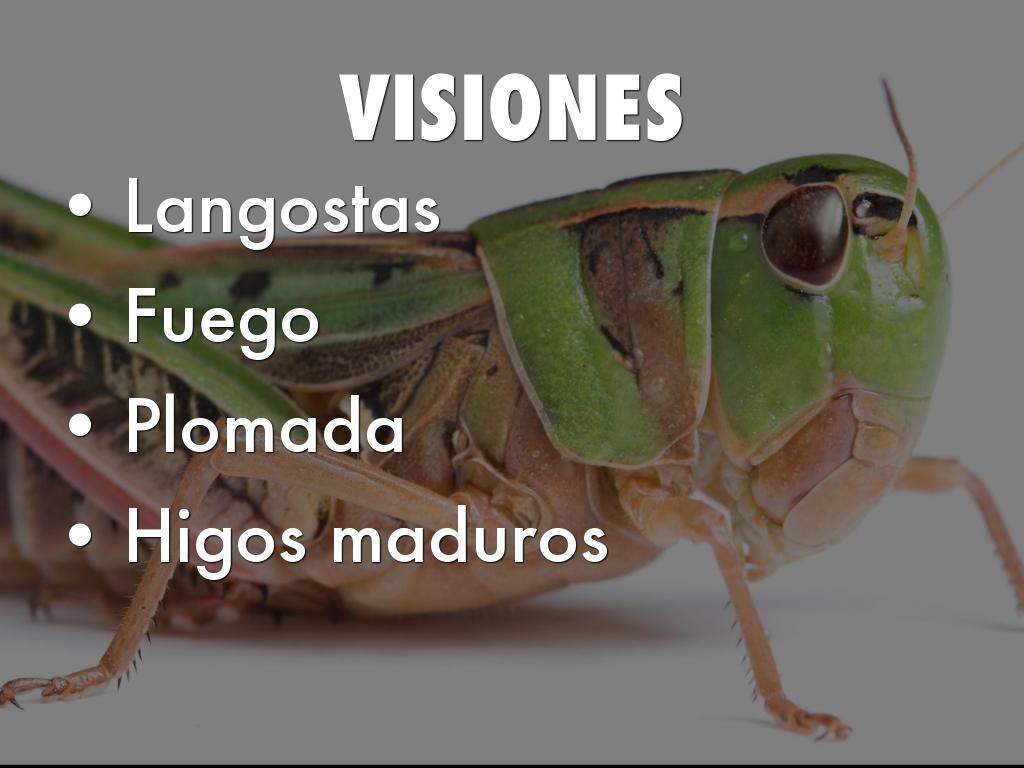 Copia de 10 Weird Facts About Bugs