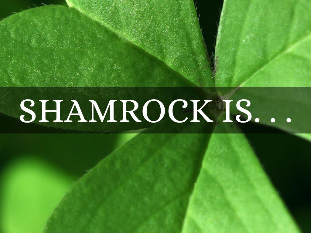 Shamrock is. . .