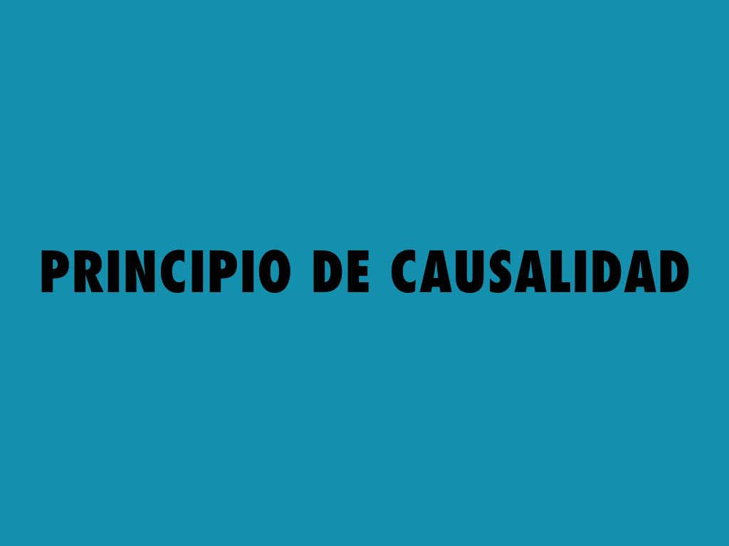 PRINCIPIO DE CAUSALIDAD