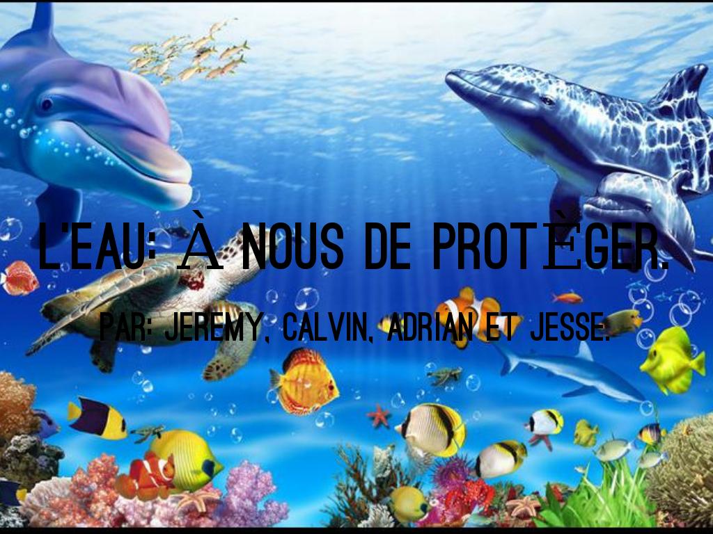 L'Ocean- Par:  Jeremy,Calvin,Adrian, Jesse