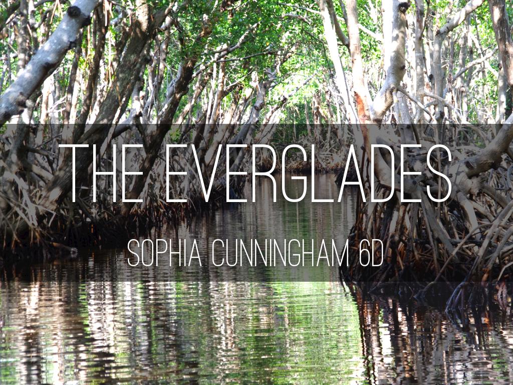 Everglades