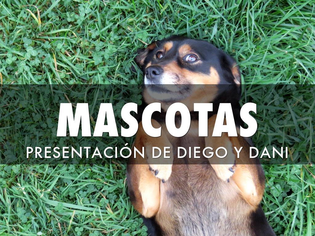 MASCOTAS