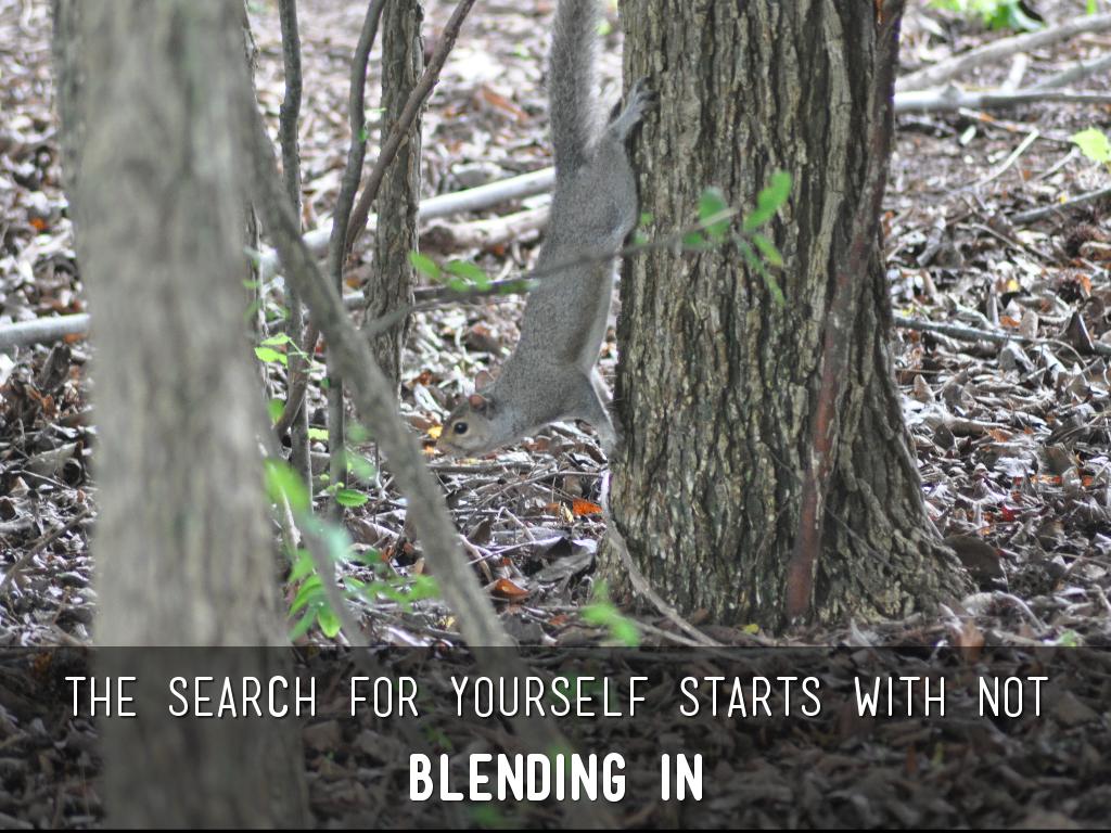 Emerson: nature full text image