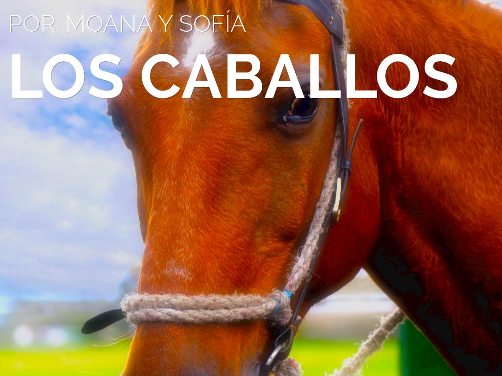 Caballos