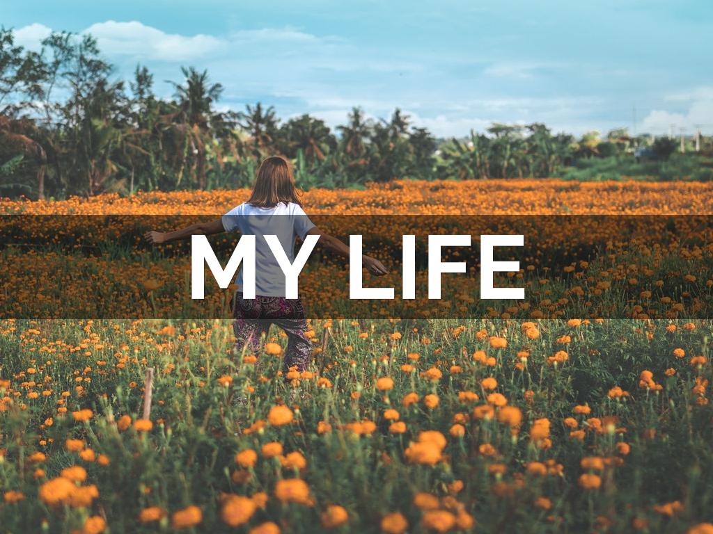 My Life 