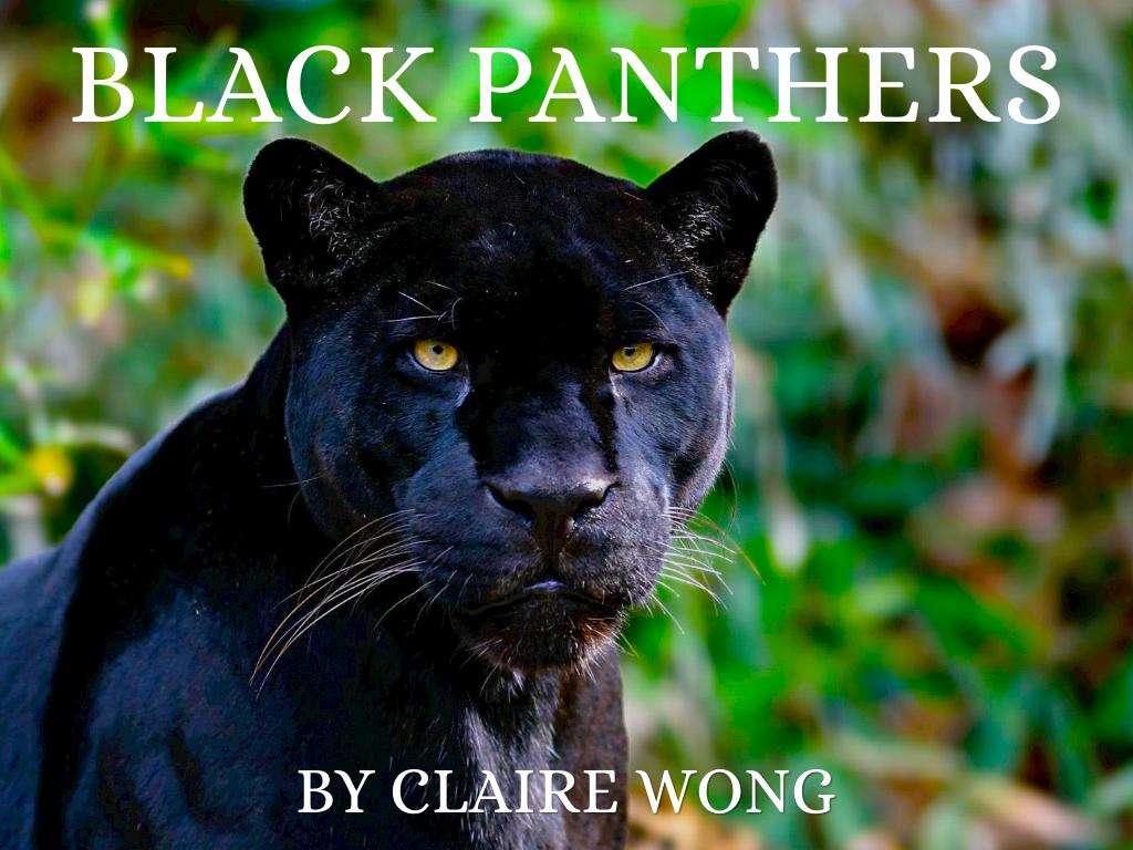 Black Panthers