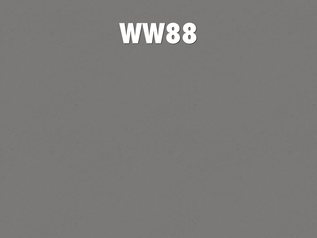 WW88