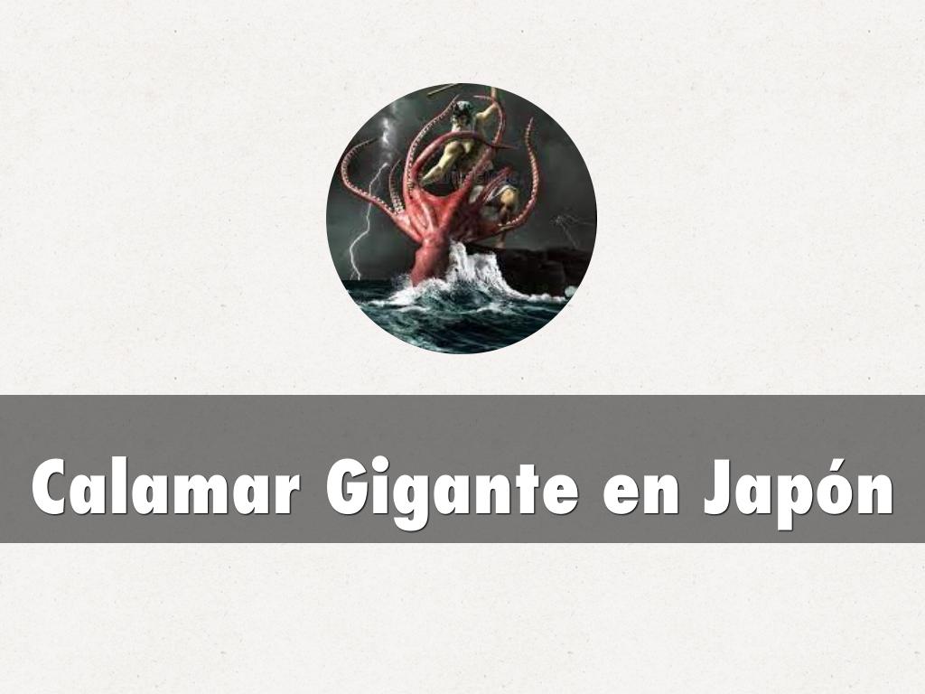Calamar Gigante en Japón