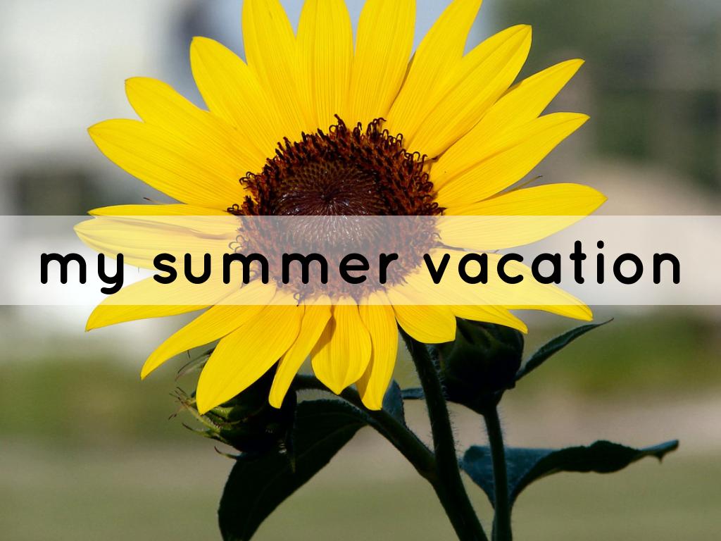 my summer vacation