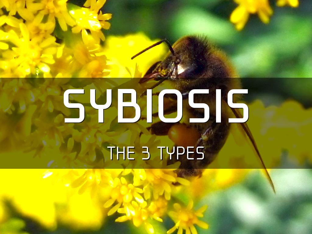 Symbiosis