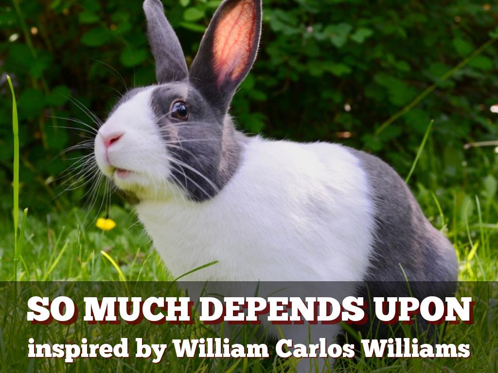 So Much depends upon