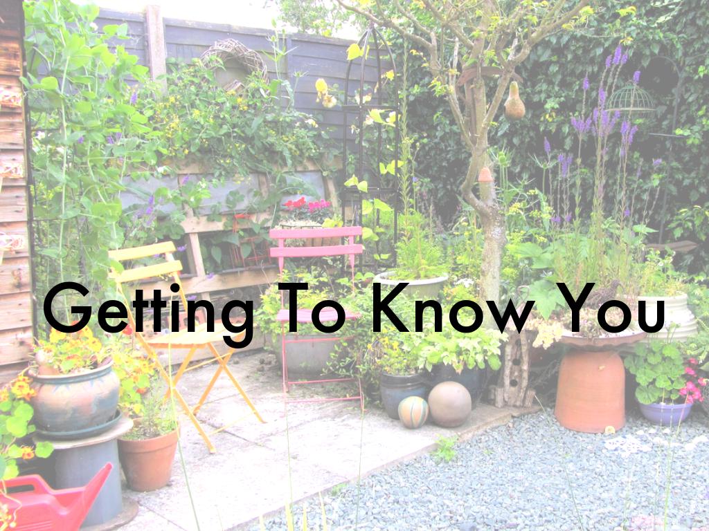 Copy of Primary Learners: Isabella Dovizio