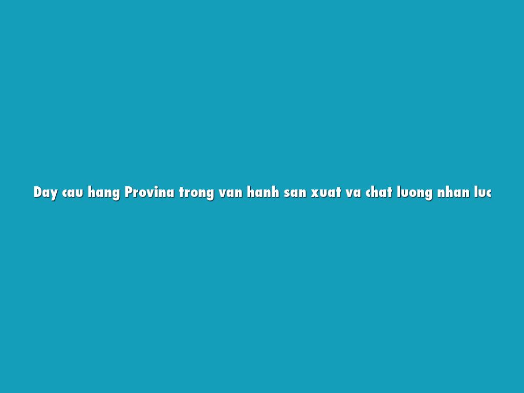 Day cau hang Provina trong van hanh san xuat va chat luong nhan luc