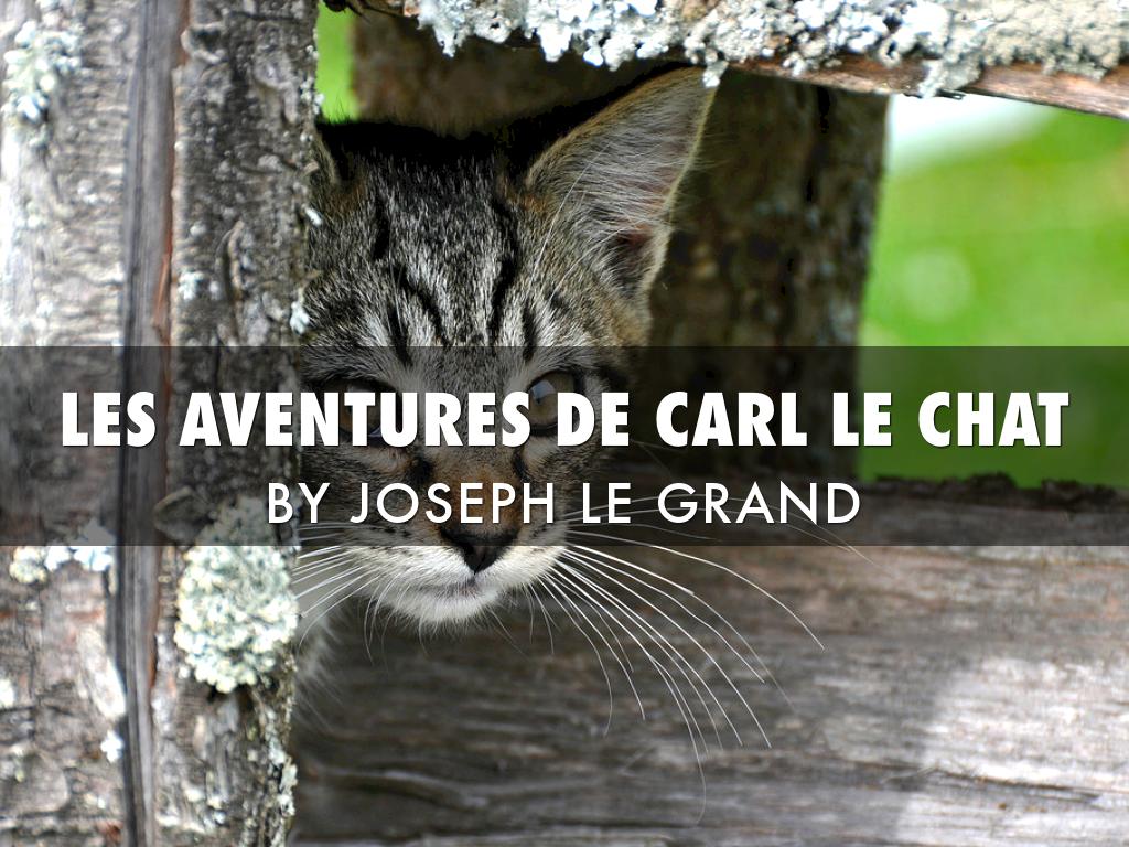 Les Aventures De Carl Le Chat