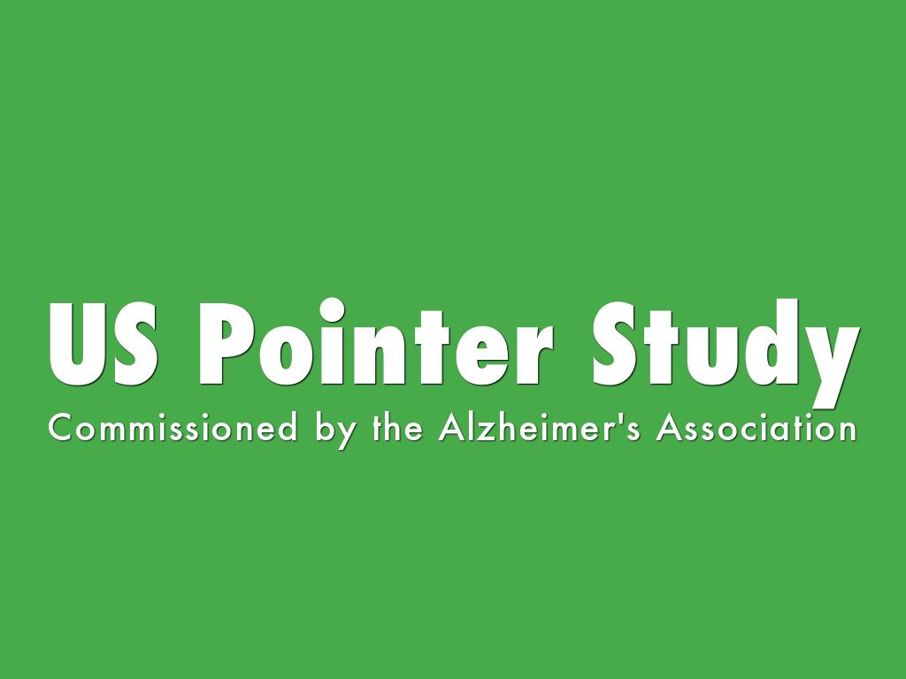 US Pointer Study