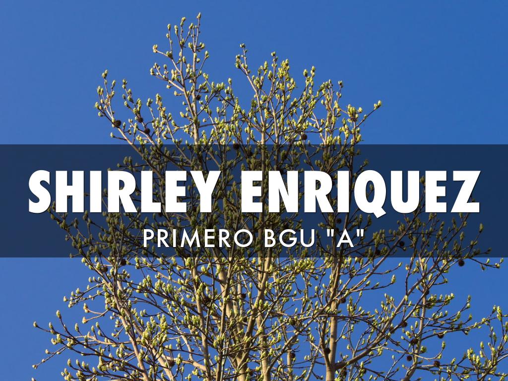 SHIRLEY ENRIQUEZ
