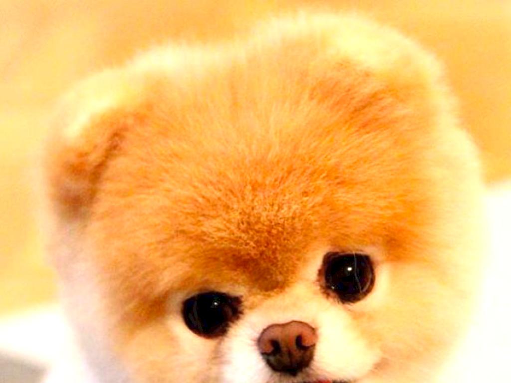 Copia de Untitled Haiku Deck