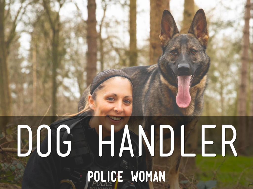 DOG HANDLER 