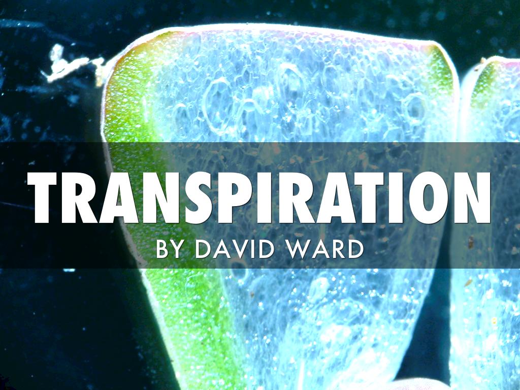 Transpiration