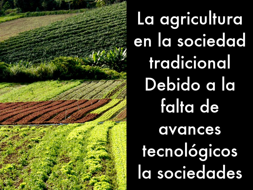 <font style="vertical-align: inherit;"><font style="vertical-align: inherit;">Agricultura en la sociedad tradicional</font></font>