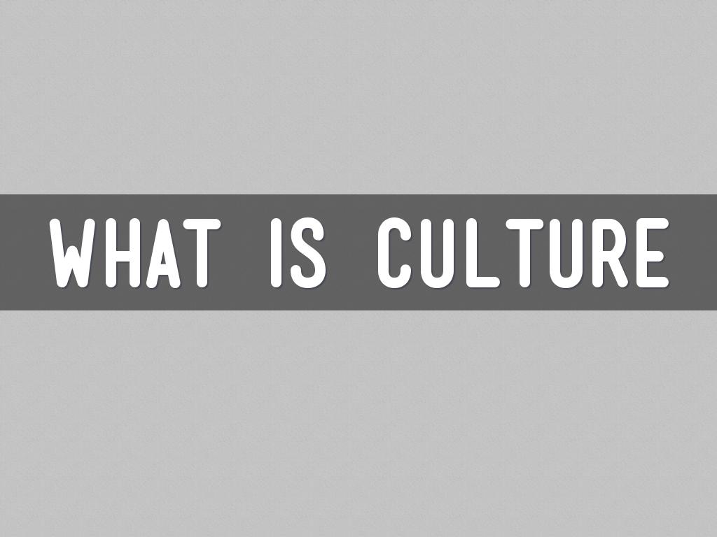 What Is Culture?
