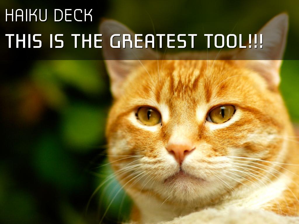 THIS IS THE GREATEST TOOL!!!