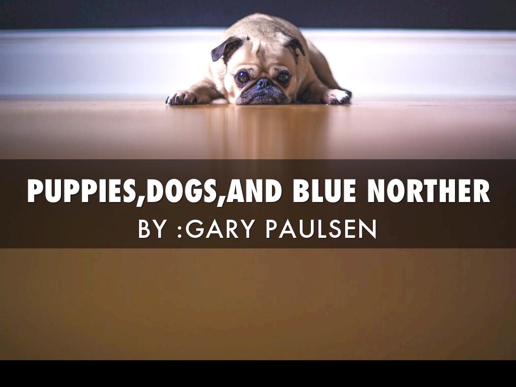 Puppies ,Dogs ,and Blue Norther