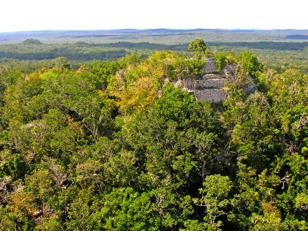 <font style="vertical-align: inherit;"><font style="vertical-align: inherit;">UNIVERSIDAD MARIANO GÁLVEZ DE GUATEMALA </font></font> <font style="vertical-align: inherit;"><font style="vertical-align: inherit;">CENTRO UNIVERSITARIO DE CHIMALTENANGO </font></font> <font style="vertical-align: inherit;"><font style="vertical-align: inherit;">FACULTAD DE CIENCIAS MÉDICAS Y DE LA SALUD </font></font> <font style="vertical-align: inherit;"><font style="vertical-align: inherit;">ESCUELA DE ENFERMERÍA </font></font> <font style="vertical-align: inherit;"><font style="vertical-align: inherit;">DOCENTE: LICDO. </font></font>