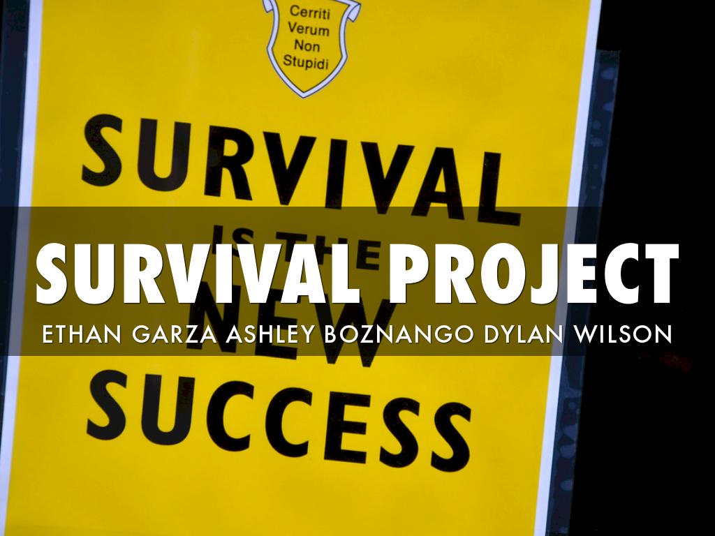 The Survival Project