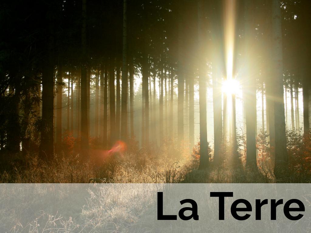 LA TERRE