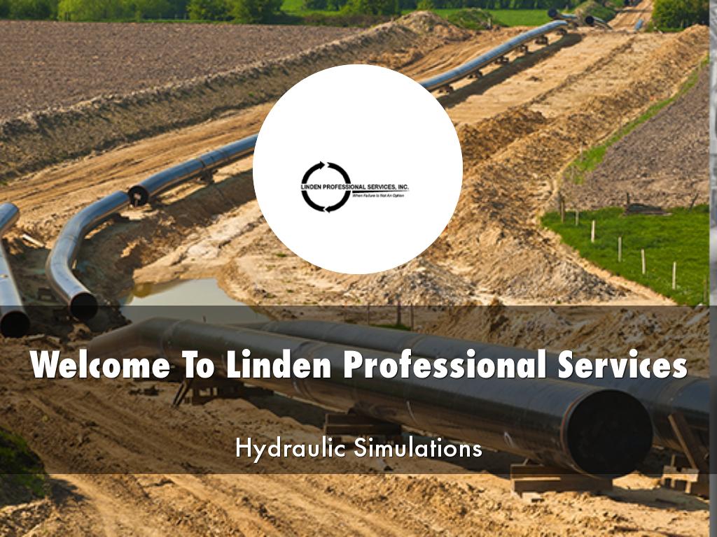 Linden Professional Services Presentation