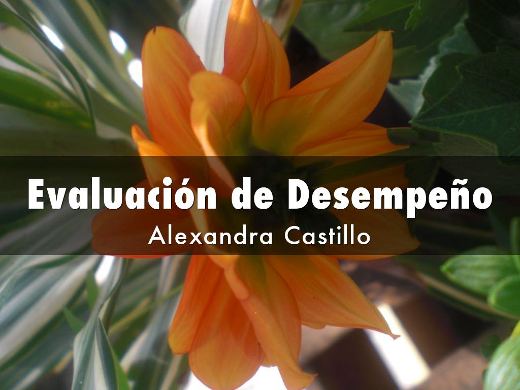 Evaluación de Desempeño