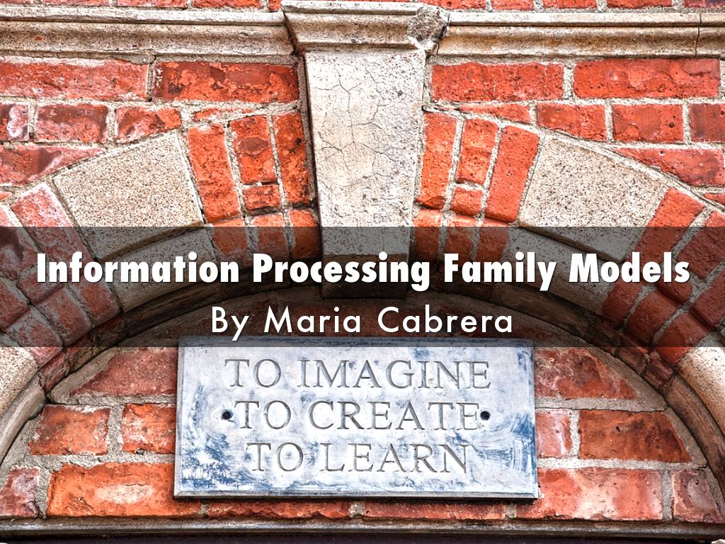 Information Processing Family Models