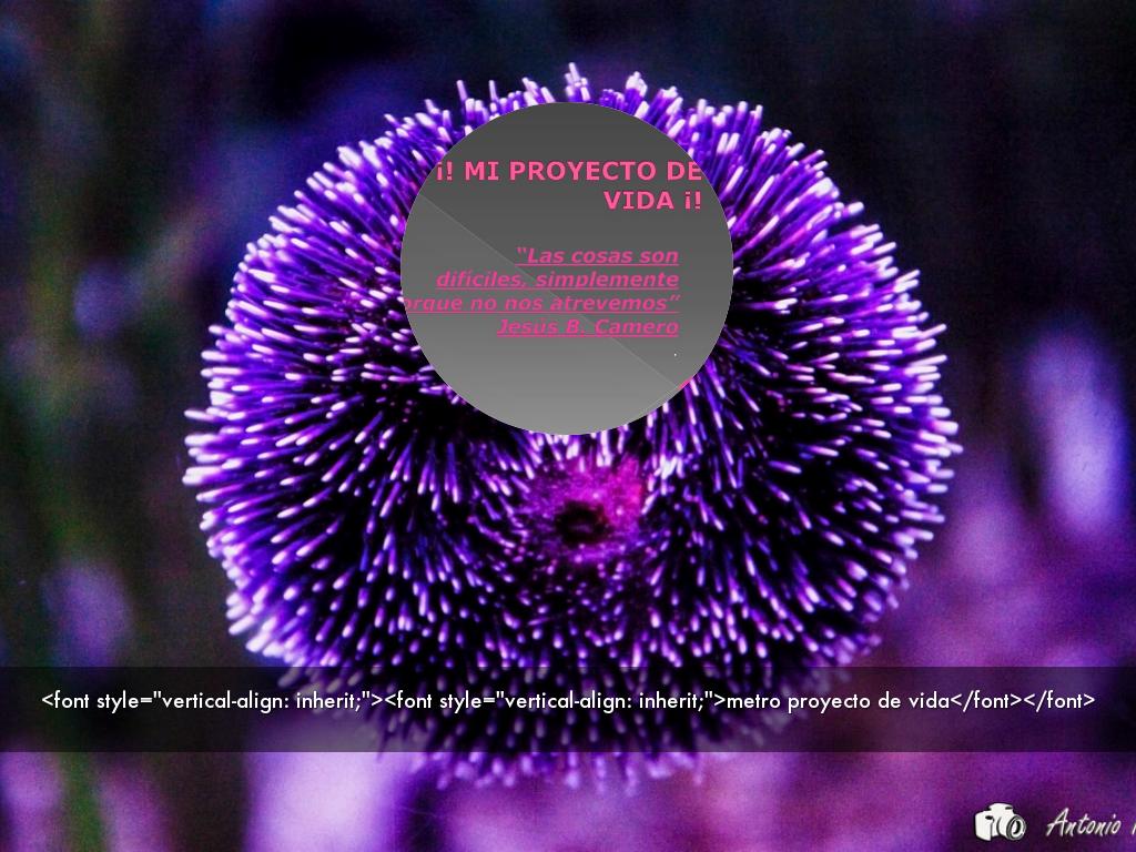 <font style="vertical-align: inherit;"><font style="vertical-align: inherit;"><font style = "vertical-align: heredar;"> <font style = "vertical-align: heredar;"> proyecto de vi> </font></font></font>