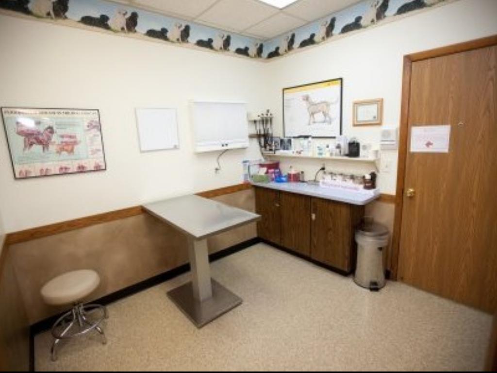 Veterinary Pricing Presentation