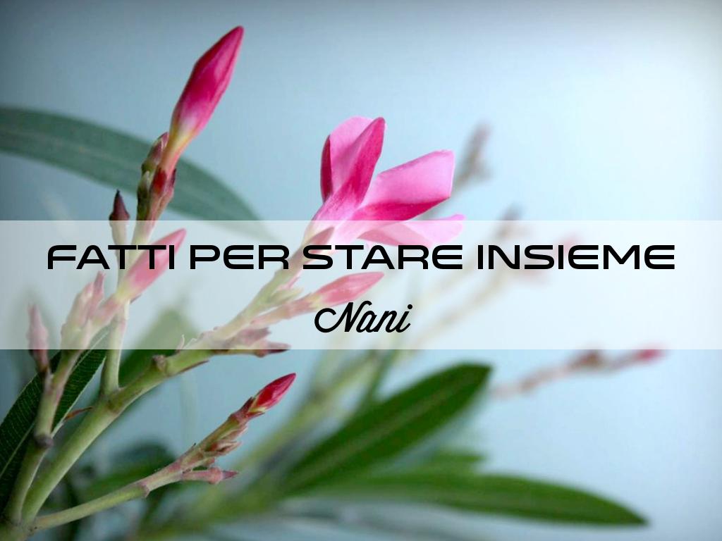 Copia di Customer Quotes & Testimonial Examples