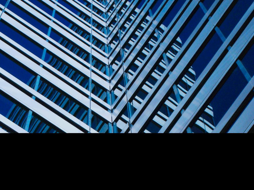 Copia de Professional Profile Template