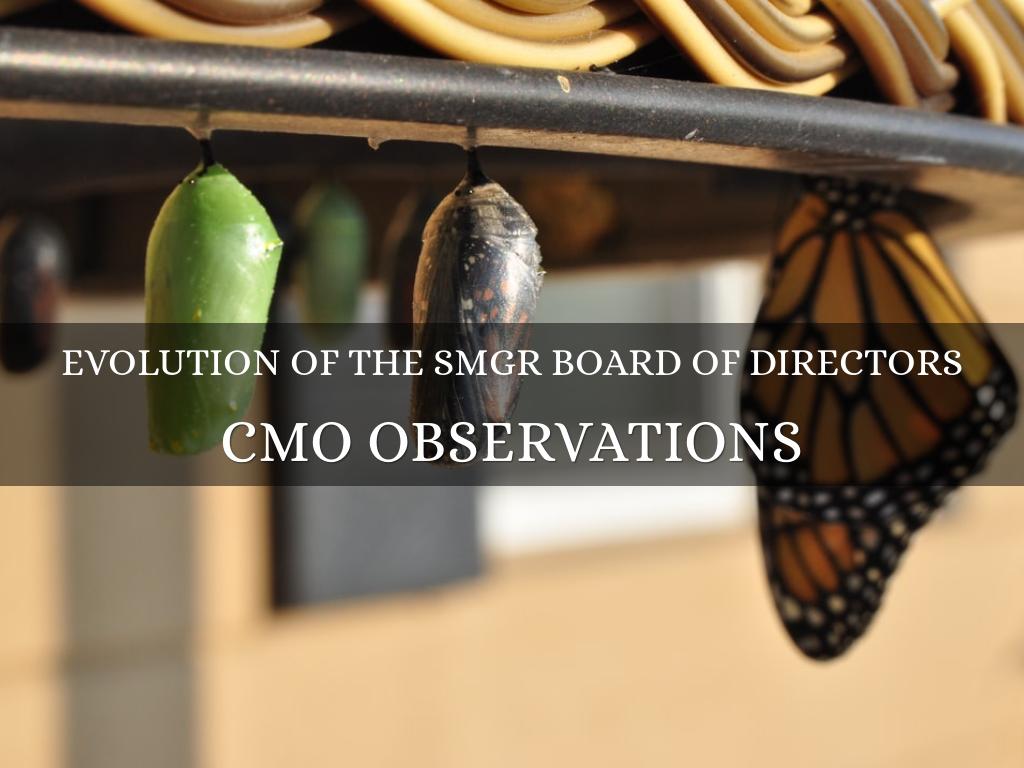Evolution of the SMGR Board of Directors